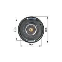 POKROV HLADILNIKA CNH STEYR