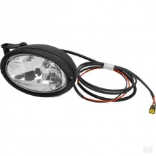 LUČ DELOVNA STRANSKA CNH NA DROGU