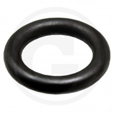 ORING FENDT DEUTZ