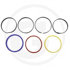 TESNILA ZA DVIŽNI CILINDER CNH STEYR