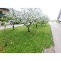 Novi artikli CubCadet